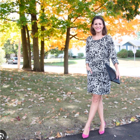 J. Crew Jules Shift Dress Mini Long-Sleeve Snowcat Leopard 12 MCM Mod Retro 60's - Picture 4 of 14